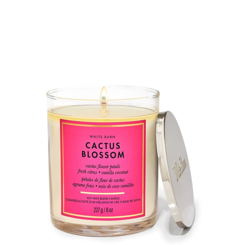 Cactus-Blossom----Vela-1-Mecha-7oz